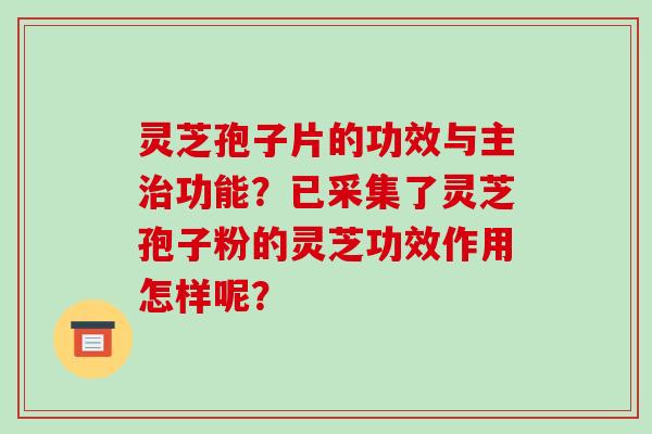 灵芝孢子片的功效与主治功能？已采集了灵芝孢子粉的灵芝功效作用怎样呢？-第1张图片-破壁灵芝孢子粉研究指南