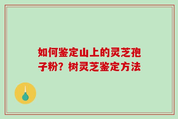 如何鉴定山上的灵芝孢子粉？树灵芝鉴定方法-第1张图片-破壁灵芝孢子粉研究指南