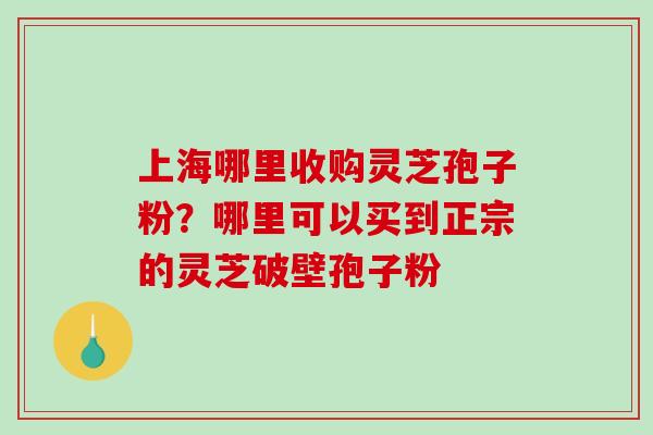上海哪里收购灵芝孢子粉?哪里可以买到正宗的灵芝破壁孢子粉-第1张图片-破壁灵芝孢子粉研究指南 上海哪里收购灵芝孢子粉?哪里可以买到正宗的灵芝破壁孢子粉-第1张图片-破壁灵芝孢子粉研究指南