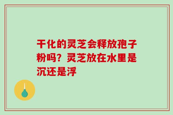 干化的灵芝会释放孢子粉吗？灵芝放在水里是沉还是浮-第1张图片-破壁灵芝孢子粉研究指南