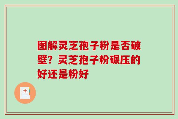 图解灵芝孢子粉是否破壁?灵芝孢子粉碾压的好还是粉好-第1张图片-破壁灵芝孢子粉研究指南 图解灵芝孢子粉是否破壁?灵芝孢子粉碾压的好还是粉好-第1张图片-破壁灵芝孢子粉研究指南
