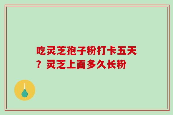 吃灵芝孢子粉打卡五天？灵芝上面多久长粉-第1张图片-破壁灵芝孢子粉研究指南