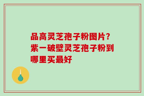 品高灵芝孢子粉图片?紫一破壁灵芝孢子粉到哪里买最好-第1张图片-破壁灵芝孢子粉研究指南 品高灵芝孢子粉图片?紫一破壁灵芝孢子粉到哪里买最好-第1张图片-破壁灵芝孢子粉研究指南