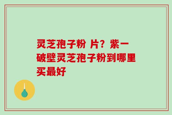 灵芝孢子粉 片?紫一破壁灵芝孢子粉到哪里买最好-第1张图片-破壁灵芝孢子粉研究指南 灵芝孢子粉 片?紫一破壁灵芝孢子粉到哪里买最好-第1张图片-破壁灵芝孢子粉研究指南
