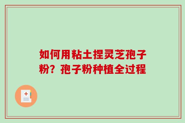 如何用粘土捏灵芝孢子粉?孢子粉种植全过程-第1张图片-破壁灵芝孢子粉研究指南 如何用粘土捏灵芝孢子粉?孢子粉种植全过程-第1张图片-破壁灵芝孢子粉研究指南
