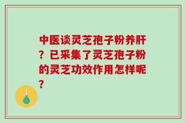 中医谈灵芝孢子粉养肝?已采集了灵芝孢子粉的灵芝功效作用怎样呢?-第1张图片-破壁灵芝孢子粉研究指南 中医谈灵芝孢子粉养肝?已采集了灵芝孢子粉的灵芝功效作用怎样呢?-第1张图片-破壁灵芝孢子粉研究指南