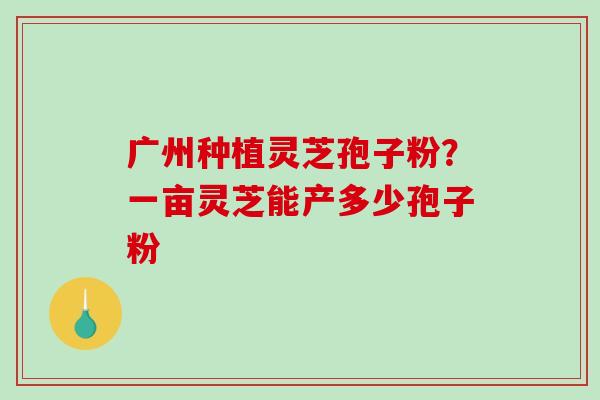 广州种植灵芝孢子粉？一亩灵芝能产多少孢子粉-第1张图片-破壁灵芝孢子粉研究指南