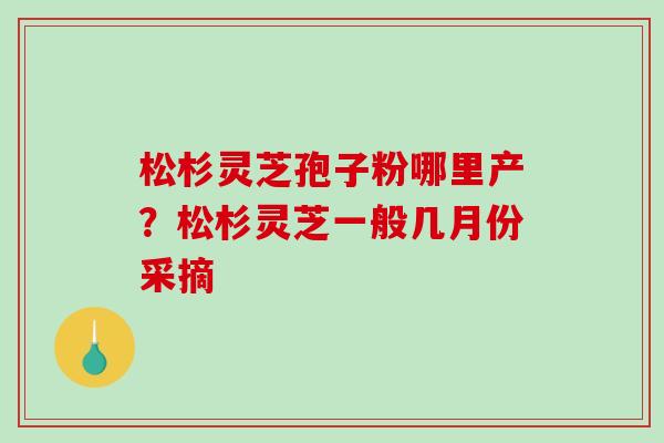 松杉灵芝孢子粉哪里产？松杉灵芝一般几月份采摘-第1张图片-破壁灵芝孢子粉研究指南