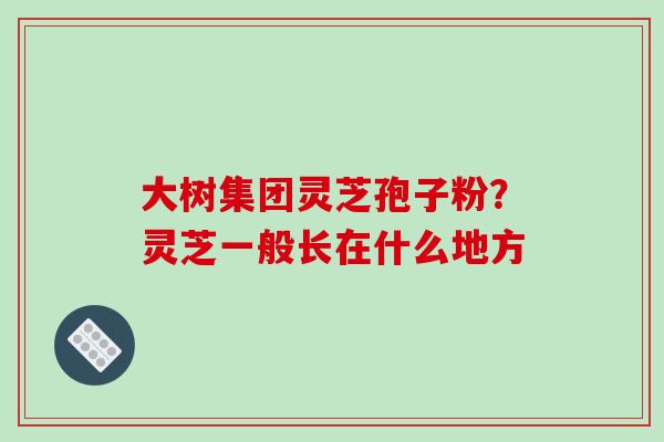 大树集团灵芝孢子粉?灵芝一般长在什么地方-第1张图片-破壁灵芝孢子粉研究指南 大树集团灵芝孢子粉?灵芝一般长在什么地方-第1张图片-破壁灵芝孢子粉研究指南