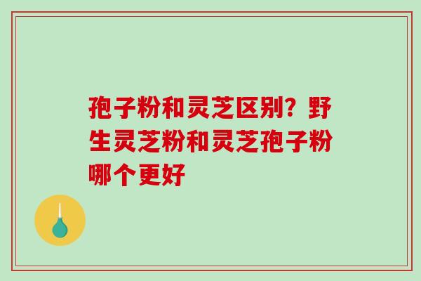 孢子粉和灵芝区别?野生灵芝粉和灵芝孢子粉哪个更好-第1张图片-破壁灵芝孢子粉研究指南 孢子粉和灵芝区别?野生灵芝粉和灵芝孢子粉哪个更好-第1张图片-破壁灵芝孢子粉研究指南