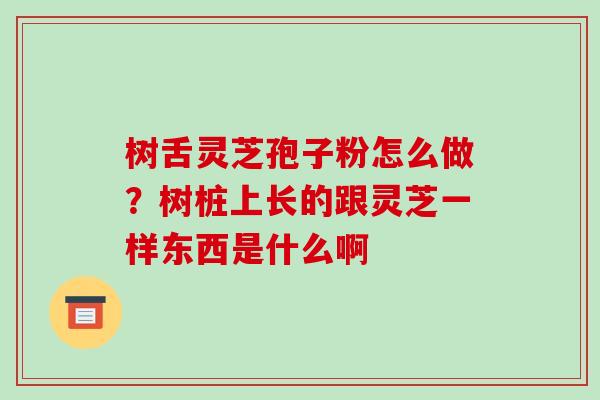 树舌灵芝孢子粉怎么做?树桩上长的跟灵芝一样东西是什么啊-第1张图片-破壁灵芝孢子粉研究指南 树舌灵芝孢子粉怎么做?树桩上长的跟灵芝一样东西是什么啊-第1张图片-破壁灵芝孢子粉研究指南