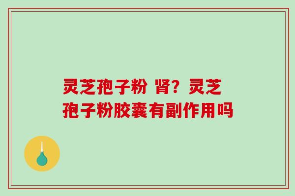 灵芝孢子粉 肾?灵芝孢子粉胶囊有副作用吗-第1张图片-破壁灵芝孢子粉研究指南 灵芝孢子粉 肾?灵芝孢子粉胶囊有副作用吗-第1张图片-破壁灵芝孢子粉研究指南