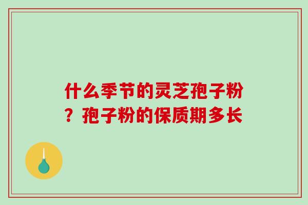 什么季节的灵芝孢子粉?孢子粉的保质期多长-第1张图片-破壁灵芝孢子粉研究指南 什么季节的灵芝孢子粉?孢子粉的保质期多长-第1张图片-破壁灵芝孢子粉研究指南