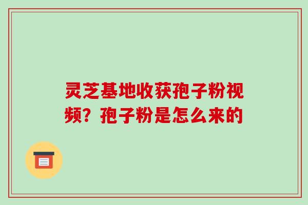 灵芝基地收获孢子粉视频?孢子粉是怎么来的-第1张图片-破壁灵芝孢子粉研究指南 灵芝基地收获孢子粉视频?孢子粉是怎么来的-第1张图片-破壁灵芝孢子粉研究指南