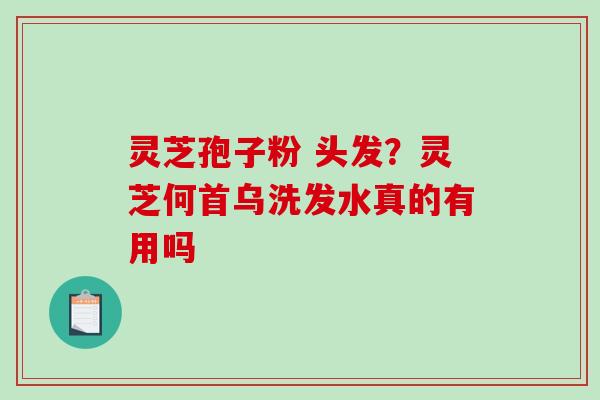 灵芝孢子粉 头发?灵芝何首乌洗发水真的有用吗-第1张图片-破壁灵芝孢子粉研究指南 灵芝孢子粉 头发?灵芝何首乌洗发水真的有用吗-第1张图片-破壁灵芝孢子粉研究指南