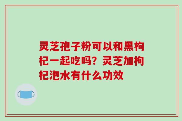 灵芝孢子粉可以和黑枸杞一起吃吗?灵芝加枸杞泡水有什么功效-第1张图片-破壁灵芝孢子粉研究指南 灵芝孢子粉可以和黑枸杞一起吃吗?灵芝加枸杞泡水有什么功效-第1张图片-破壁灵芝孢子粉研究指南