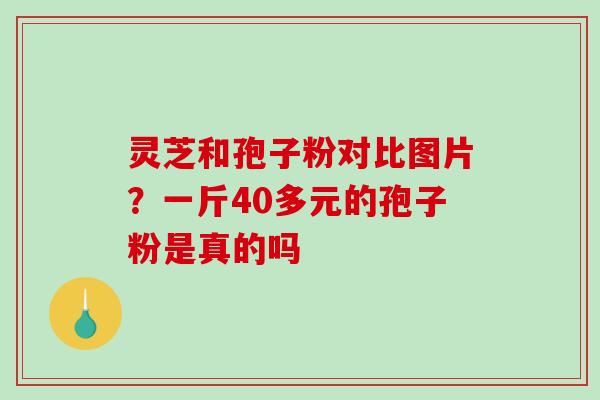 灵芝和孢子粉对比图片?一斤40多元的孢子粉是真的吗-第1张图片-破壁灵芝孢子粉研究指南 灵芝和孢子粉对比图片?一斤40多元的孢子粉是真的吗-第1张图片-破壁灵芝孢子粉研究指南