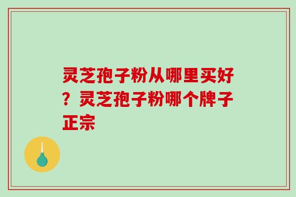 灵芝孢子粉从哪里买好?灵芝孢子粉哪个牌子正宗-第1张图片-破壁灵芝孢子粉研究指南 灵芝孢子粉从哪里买好?灵芝孢子粉哪个牌子正宗-第1张图片-破壁灵芝孢子粉研究指南