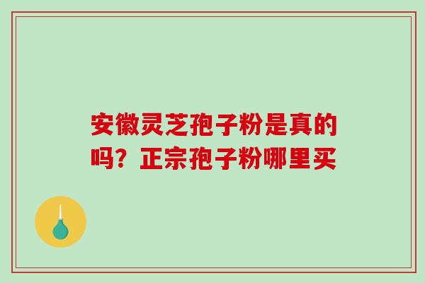 安徽灵芝孢子粉是真的吗?正宗孢子粉哪里买-第1张图片-破壁灵芝孢子粉研究指南 安徽灵芝孢子粉是真的吗?正宗孢子粉哪里买-第1张图片-破壁灵芝孢子粉研究指南