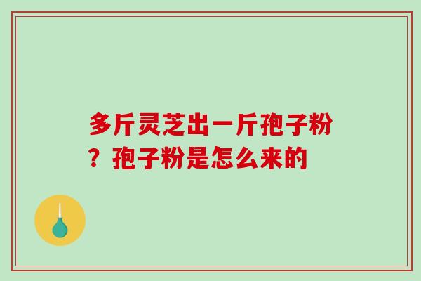 多斤灵芝出一斤孢子粉？孢子粉是怎么来的-第1张图片-破壁灵芝孢子粉研究指南