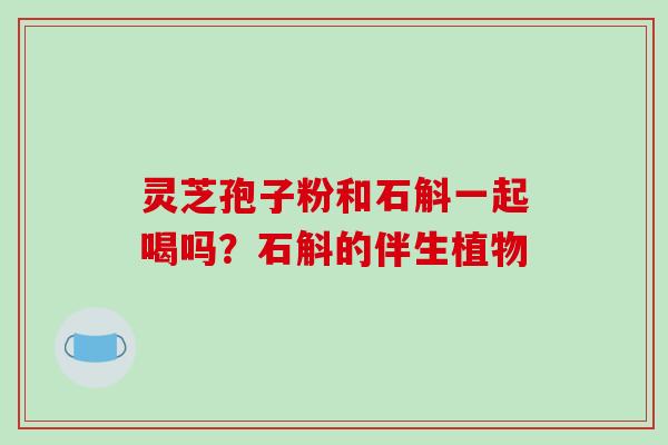 灵芝孢子粉和石斛一起喝吗?石斛的伴生植物-第1张图片-破壁灵芝孢子粉研究指南 灵芝孢子粉和石斛一起喝吗?石斛的伴生植物-第1张图片-破壁灵芝孢子粉研究指南