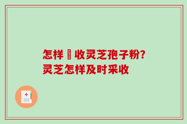 怎样採收灵芝孢子粉?灵芝怎样及时采收-第1张图片-破壁灵芝孢子粉研究指南 怎样採收灵芝孢子粉?灵芝怎样及时采收-第1张图片-破壁灵芝孢子粉研究指南