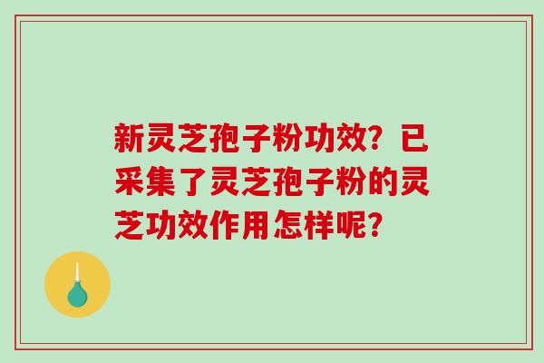 新灵芝孢子粉功效?已采集了灵芝孢子粉的灵芝功效作用怎样呢?-第1张图片-破壁灵芝孢子粉研究指南 新灵芝孢子粉功效?已采集了灵芝孢子粉的灵芝功效作用怎样呢?-第1张图片-破壁灵芝孢子粉研究指南