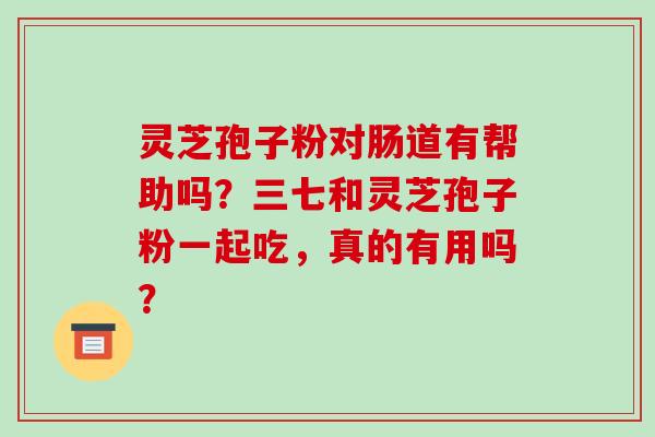 灵芝孢子粉对肠道有帮助吗？三七和灵芝孢子粉一起吃，真的有用吗？-第1张图片-破壁灵芝孢子粉研究指南