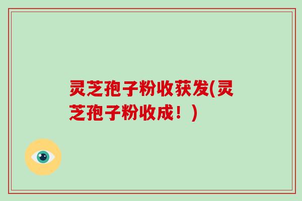 灵芝孢子粉收获发(灵芝孢子粉收成！)-第1张图片-破壁灵芝孢子粉研究指南