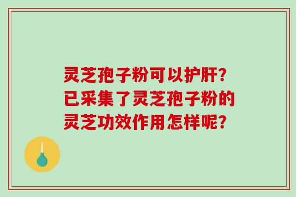 灵芝孢子粉可以护肝?已采集了灵芝孢子粉的灵芝功效作用怎样呢?-第1张图片-破壁灵芝孢子粉研究指南 灵芝孢子粉可以护肝?已采集了灵芝孢子粉的灵芝功效作用怎样呢?-第1张图片-破壁灵芝孢子粉研究指南
