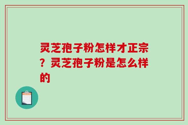 灵芝孢子粉怎样才正宗?灵芝孢子粉是怎么样的-第1张图片-破壁灵芝孢子粉研究指南 灵芝孢子粉怎样才正宗?灵芝孢子粉是怎么样的-第1张图片-破壁灵芝孢子粉研究指南