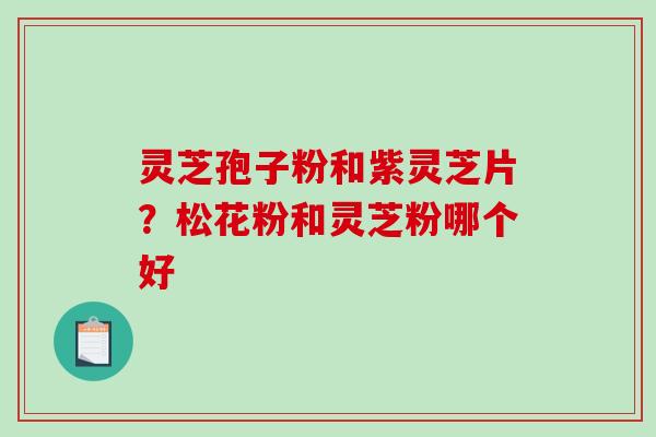 灵芝孢子粉和紫灵芝片?松花粉和灵芝粉哪个好-第1张图片-破壁灵芝孢子粉研究指南 灵芝孢子粉和紫灵芝片?松花粉和灵芝粉哪个好-第1张图片-破壁灵芝孢子粉研究指南