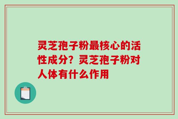灵芝孢子粉最核心的活性成分？灵芝孢子粉对人体有什么作用-第1张图片-破壁灵芝孢子粉研究指南