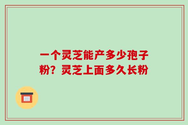 一个灵芝能产多少孢子粉？灵芝上面多久长粉-第1张图片-破壁灵芝孢子粉研究指南