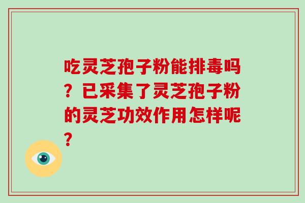吃灵芝孢子粉能排毒吗?已采集了灵芝孢子粉的灵芝功效作用怎样呢?-第1张图片-破壁灵芝孢子粉研究指南 吃灵芝孢子粉能排毒吗?已采集了灵芝孢子粉的灵芝功效作用怎样呢?-第1张图片-破壁灵芝孢子粉研究指南