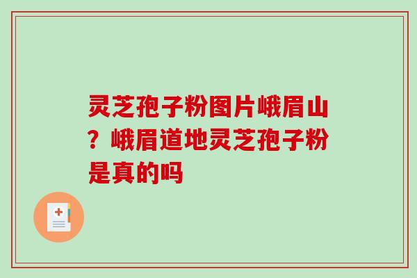灵芝孢子粉图片峨眉山?峨眉道地灵芝孢子粉是真的吗-第1张图片-破壁灵芝孢子粉研究指南 灵芝孢子粉图片峨眉山?峨眉道地灵芝孢子粉是真的吗-第1张图片-破壁灵芝孢子粉研究指南