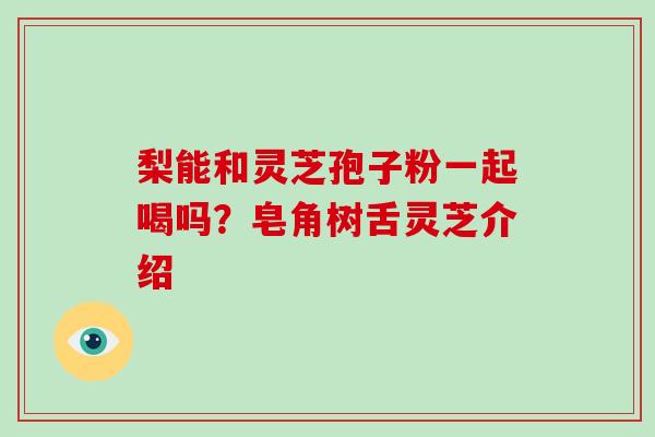 梨能和灵芝孢子粉一起喝吗?皂角树舌灵芝介绍-第1张图片-破壁灵芝孢子粉研究指南 梨能和灵芝孢子粉一起喝吗?皂角树舌灵芝介绍-第1张图片-破壁灵芝孢子粉研究指南