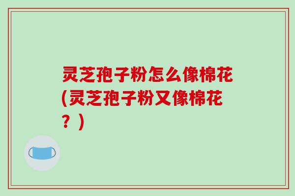 灵芝孢子粉怎么像棉花(灵芝孢子粉又像棉花?)-第1张图片-破壁灵芝孢子粉研究指南 灵芝孢子粉怎么像棉花(灵芝孢子粉又像棉花?)-第1张图片-破壁灵芝孢子粉研究指南