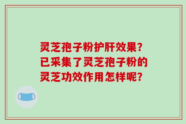 灵芝孢子粉护肝效果?已采集了灵芝孢子粉的灵芝功效作用怎样呢?-第1张图片-破壁灵芝孢子粉研究指南 灵芝孢子粉护肝效果?已采集了灵芝孢子粉的灵芝功效作用怎样呢?-第1张图片-破壁灵芝孢子粉研究指南
