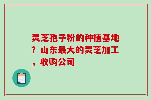灵芝孢子粉的种植基地？山东最大的灵芝加工，收购公司-第1张图片-破壁灵芝孢子粉研究指南
