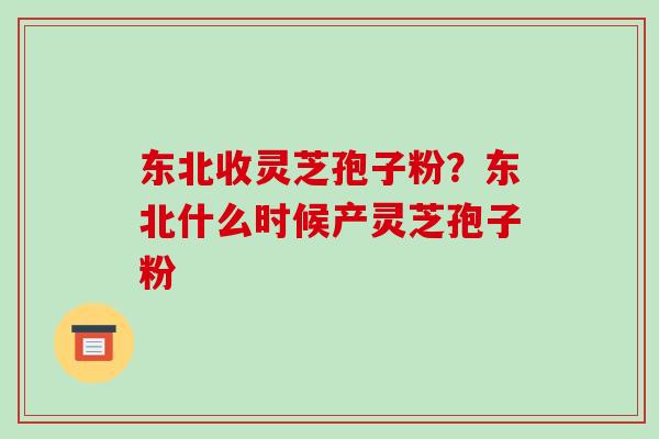 东北收灵芝孢子粉？东北什么时候产灵芝孢子粉-第1张图片-破壁灵芝孢子粉研究指南