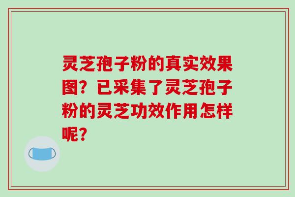 灵芝孢子粉的真实效果图?已采集了灵芝孢子粉的灵芝功效作用怎样呢?-第1张图片-破壁灵芝孢子粉研究指南 灵芝孢子粉的真实效果图?已采集了灵芝孢子粉的灵芝功效作用怎样呢?-第1张图片-破壁灵芝孢子粉研究指南