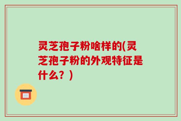 灵芝孢子粉啥样的(灵芝孢子粉的外观特征是什么?)-第1张图片-破壁灵芝孢子粉研究指南 灵芝孢子粉啥样的(灵芝孢子粉的外观特征是什么?)-第1张图片-破壁灵芝孢子粉研究指南