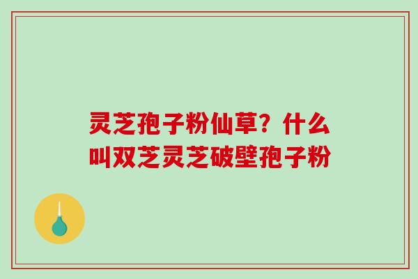 灵芝孢子粉仙草?什么叫双芝灵芝破壁孢子粉-第1张图片-破壁灵芝孢子粉研究指南 灵芝孢子粉仙草?什么叫双芝灵芝破壁孢子粉-第1张图片-破壁灵芝孢子粉研究指南