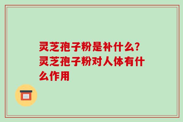 灵芝孢子粉是补什么?灵芝孢子粉对人体有什么作用-第1张图片-破壁灵芝孢子粉研究指南 灵芝孢子粉是补什么?灵芝孢子粉对人体有什么作用-第1张图片-破壁灵芝孢子粉研究指南