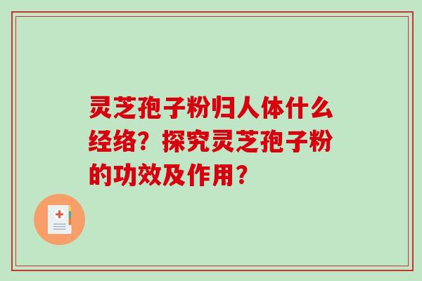 灵芝孢子粉归人体什么经络?探究灵芝孢子粉的功效及作用?-第1张图片-破壁灵芝孢子粉研究指南 灵芝孢子粉归人体什么经络?探究灵芝孢子粉的功效及作用?-第1张图片-破壁灵芝孢子粉研究指南