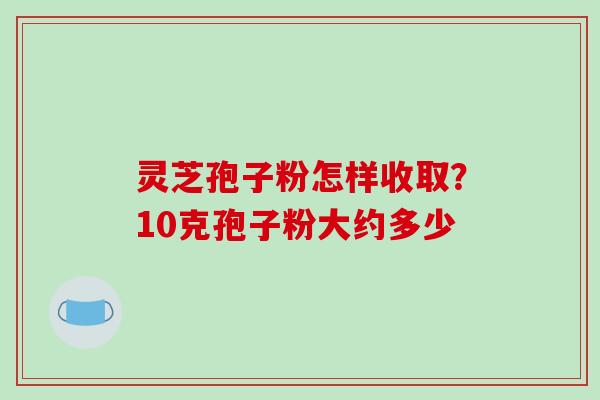 灵芝孢子粉怎样收取?10克孢子粉大约多少-第1张图片-破壁灵芝孢子粉研究指南 灵芝孢子粉怎样收取?10克孢子粉大约多少-第1张图片-破壁灵芝孢子粉研究指南