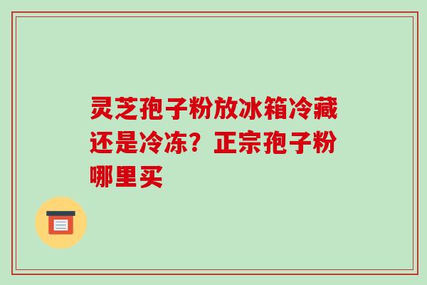 灵芝孢子粉放冰箱冷藏还是冷冻?正宗孢子粉哪里买-第1张图片-破壁灵芝孢子粉研究指南 灵芝孢子粉放冰箱冷藏还是冷冻?正宗孢子粉哪里买-第1张图片-破壁灵芝孢子粉研究指南