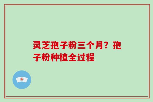 灵芝孢子粉三个月？孢子粉种植全过程-第1张图片-破壁灵芝孢子粉研究指南