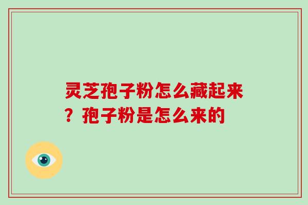 灵芝孢子粉怎么藏起来？孢子粉是怎么来的-第1张图片-破壁灵芝孢子粉研究指南